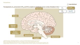 Schizophrenia – Neurobiology and Aetiology – slide 18